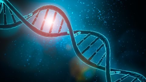 Micromecenazgo de la UAB para la terapia génica del Síndrome de Wolfram con el objetivo claro de obtener una cura para esta enfermedad