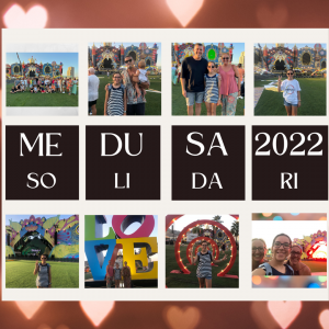 collage de imágenes de la visita al Medusa Festival