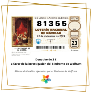 Décimo de lotería de Navidad 2025